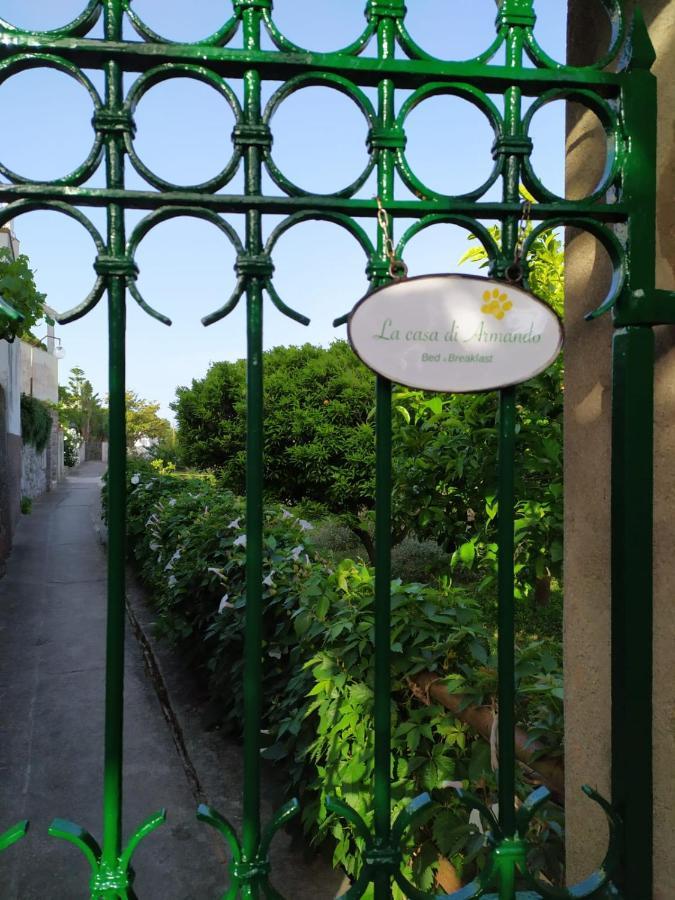 カプリ La Casa Di Armando Bed & Breakfast エクステリア 写真